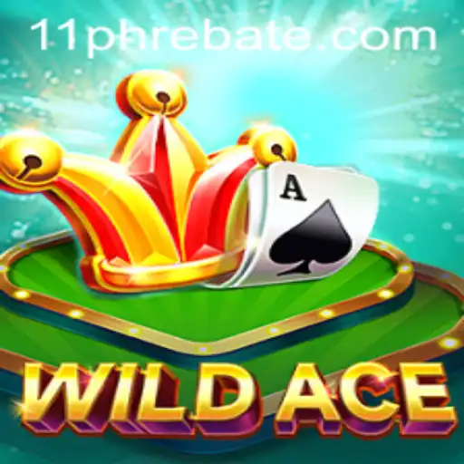 Unveiling the Thrilling World of WildAce: Adventure Meets Strategy